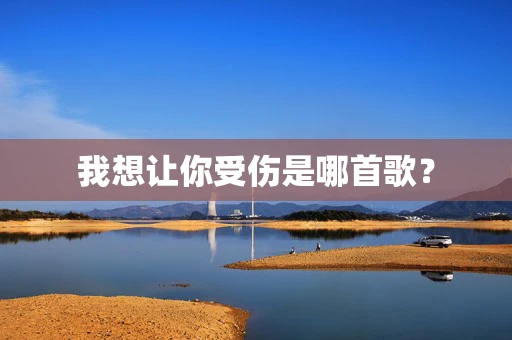 我想让你受伤是哪首歌？