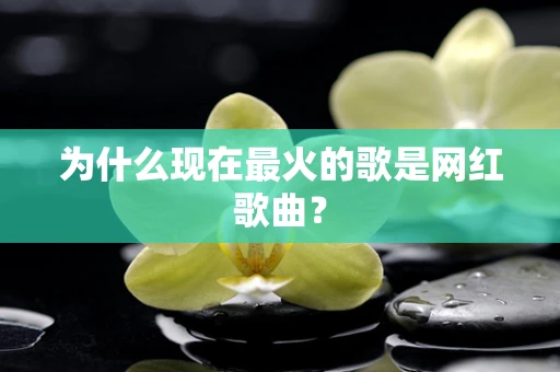为什么现在最火的歌是网红歌曲？