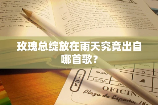 玫瑰总绽放在雨天究竟出自哪首歌？