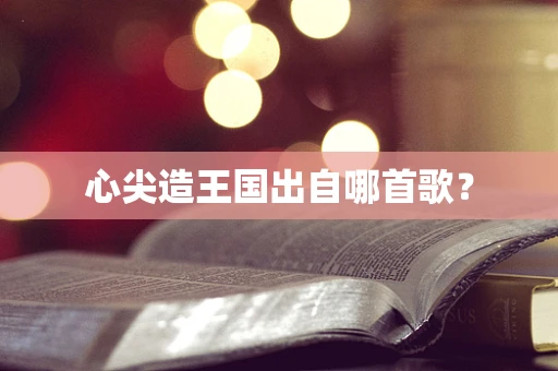 心尖造王国出自哪首歌？