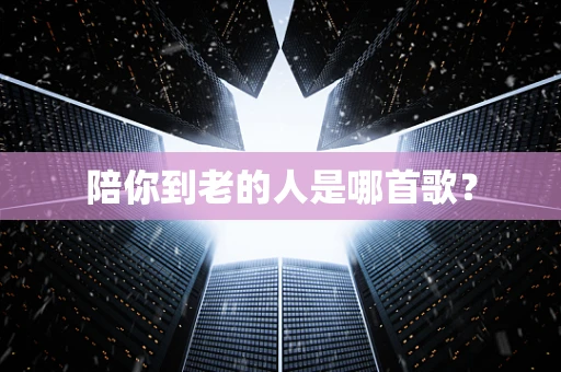 陪你到老的人是哪首歌？