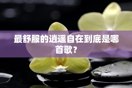 最舒服的逍遥自在到底是哪首歌？