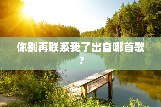 你别再联系我了出自哪首歌？