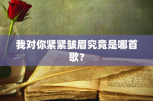 我对你紧紧皱眉究竟是哪首歌？