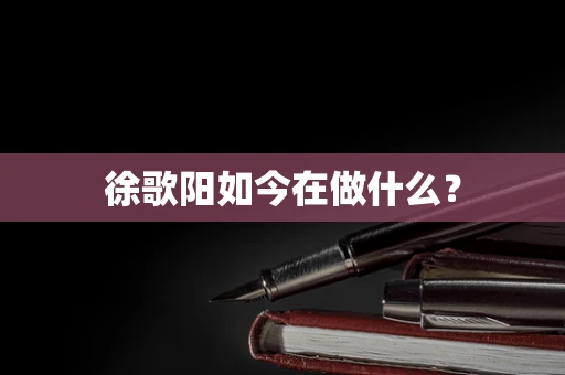 徐歌阳如今在做什么？