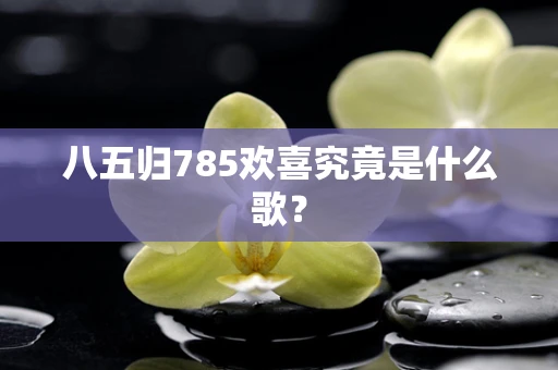 八五归785欢喜究竟是什么歌？