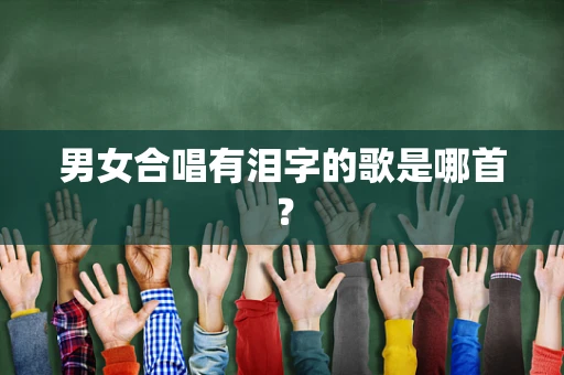 男女合唱有泪字的歌是哪首？