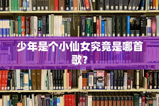 少年是个小仙女究竟是哪首歌？
