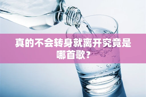 真的不会转身就离开究竟是哪首歌？