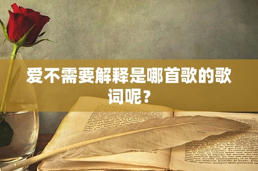 爱不需要解释是哪首歌的歌词呢？