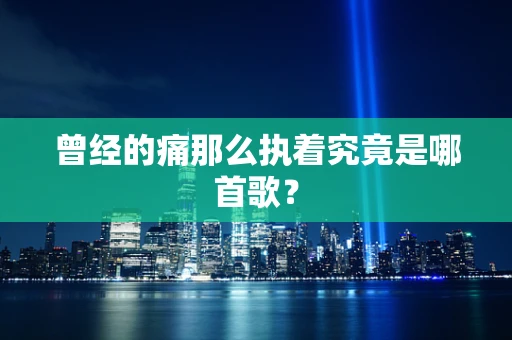 曾经的痛那么执着究竟是哪首歌？