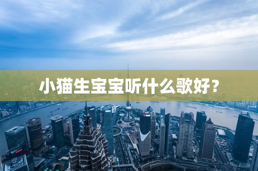 小猫生宝宝听什么歌好？