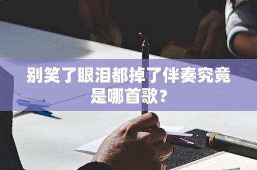 别笑了眼泪都掉了伴奏究竟是哪首歌？