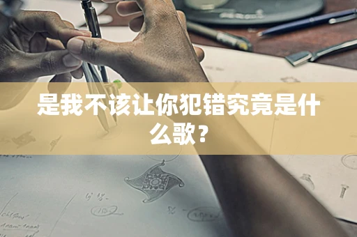 是我不该让你犯错究竟是什么歌？