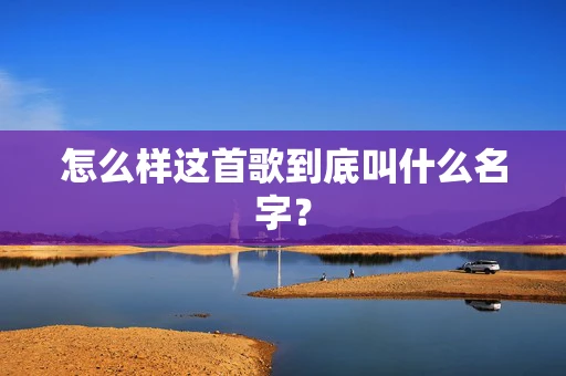 怎么样这首歌到底叫什么名字？