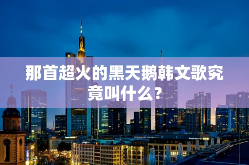 那首超火的黑天鹅韩文歌究竟叫什么？