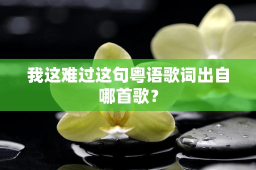 我这难过这句粤语歌词出自哪首歌？