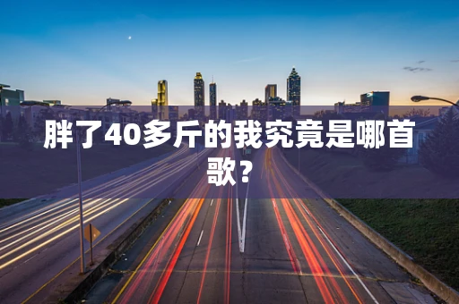 胖了40多斤的我究竟是哪首歌？