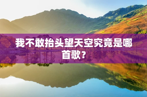 我不敢抬头望天空究竟是哪首歌？