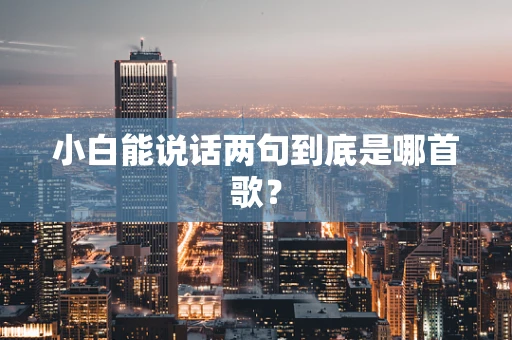 小白能说话两句到底是哪首歌？