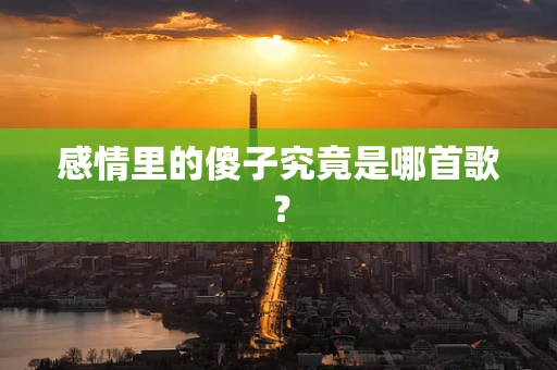 感情里的傻子究竟是哪首歌？