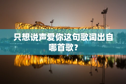 只想说声爱你这句歌词出自哪首歌？