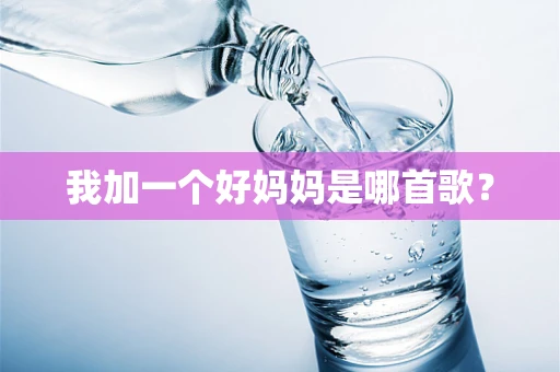我加一个好妈妈是哪首歌？