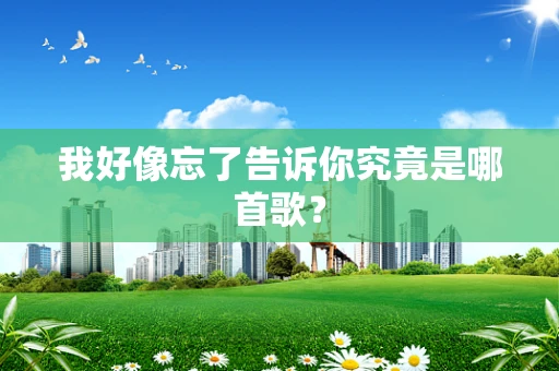 我好像忘了告诉你究竟是哪首歌？