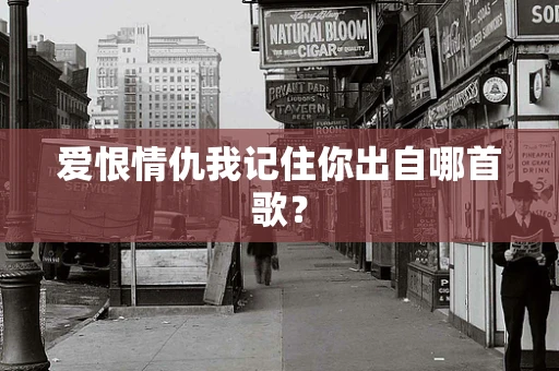 爱恨情仇我记住你出自哪首歌？