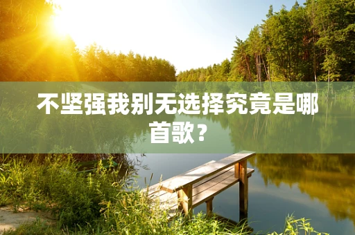 不坚强我别无选择究竟是哪首歌？