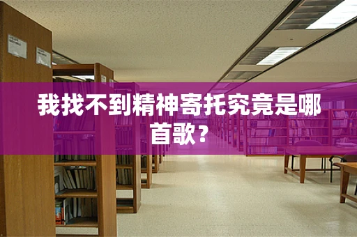 我找不到精神寄托究竟是哪首歌？