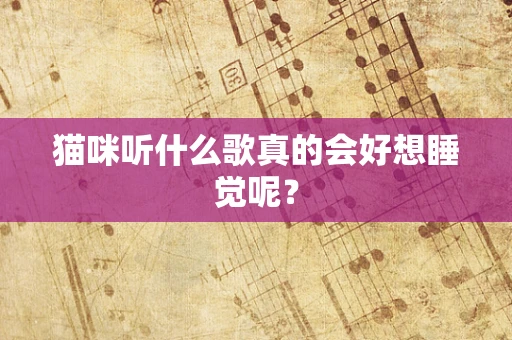 猫咪听什么歌真的会好想睡觉呢？