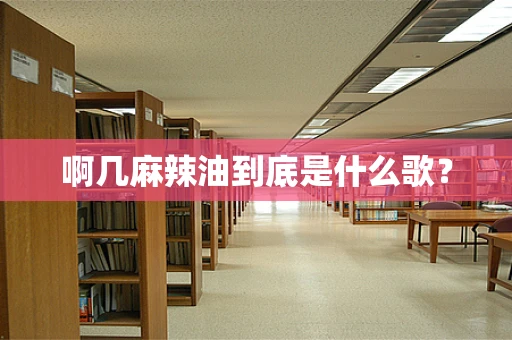 啊几麻辣油到底是什么歌？