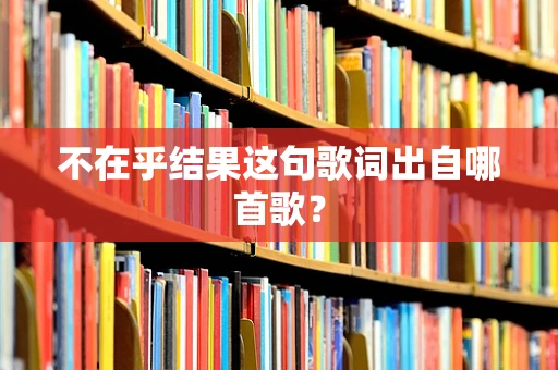 不在乎结果这句歌词出自哪首歌？