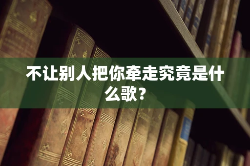 不让别人把你牵走究竟是什么歌？