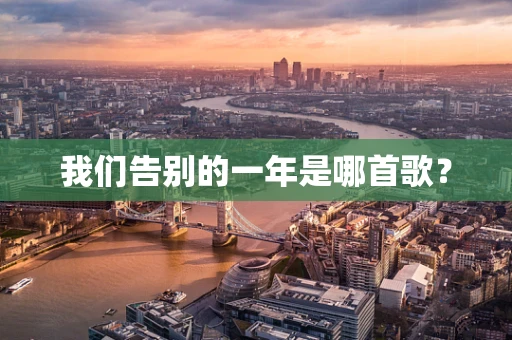 我们告别的一年是哪首歌？