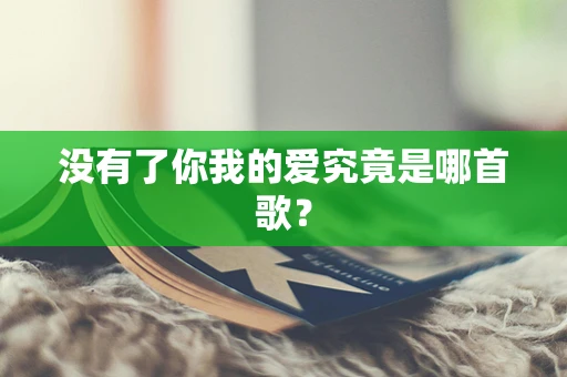 没有了你我的爱究竟是哪首歌？