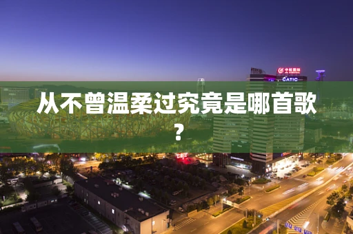 从不曾温柔过究竟是哪首歌？