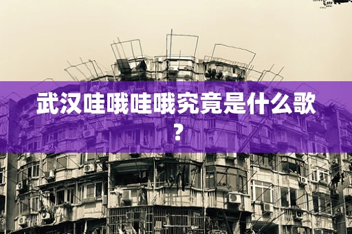 武汉哇哦哇哦究竟是什么歌？