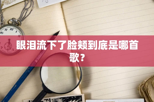 眼泪流下了脸颊到底是哪首歌？