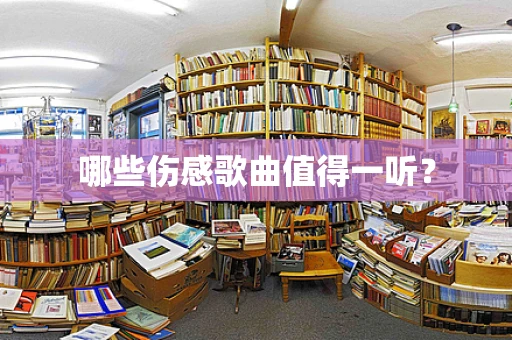 哪些伤感歌曲值得一听？