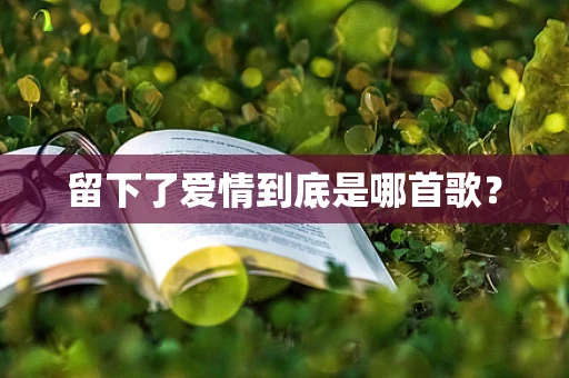 留下了爱情到底是哪首歌？