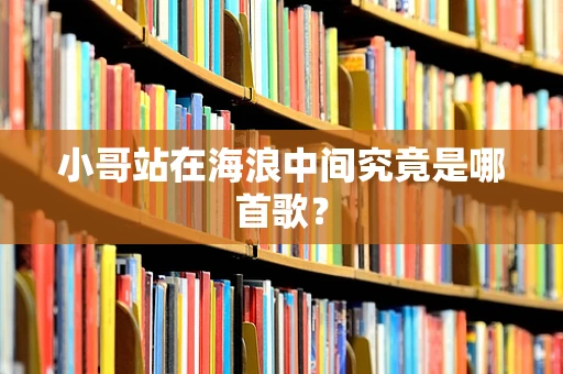 小哥站在海浪中间究竟是哪首歌？