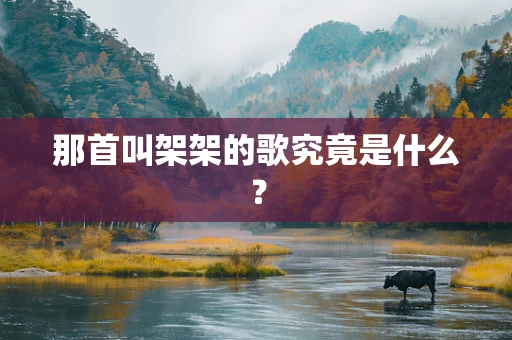 那首叫架架的歌究竟是什么？