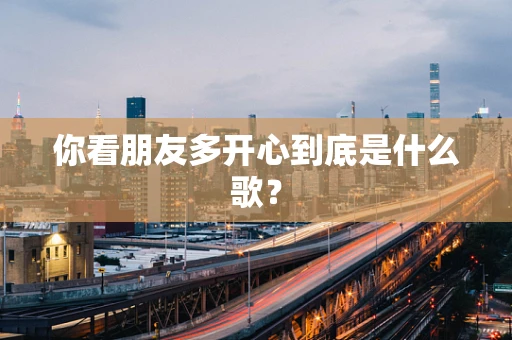 你看朋友多开心到底是什么歌？