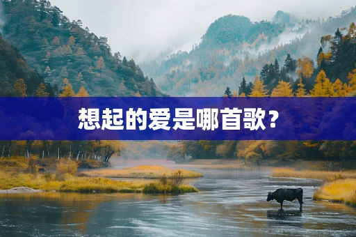 想起的爱是哪首歌？