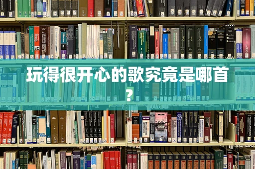 玩得很开心的歌究竟是哪首？