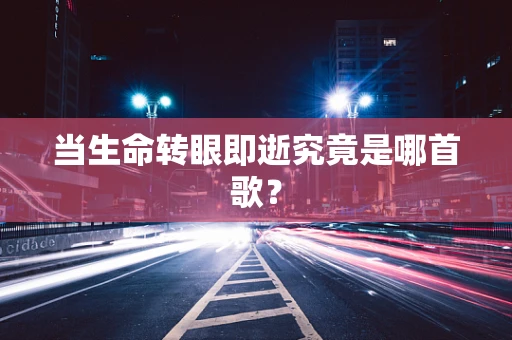 当生命转眼即逝究竟是哪首歌？