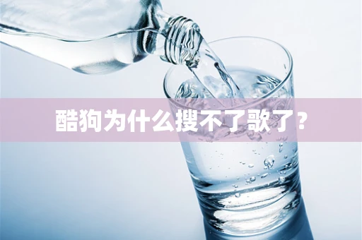 酷狗为什么搜不了歌了？