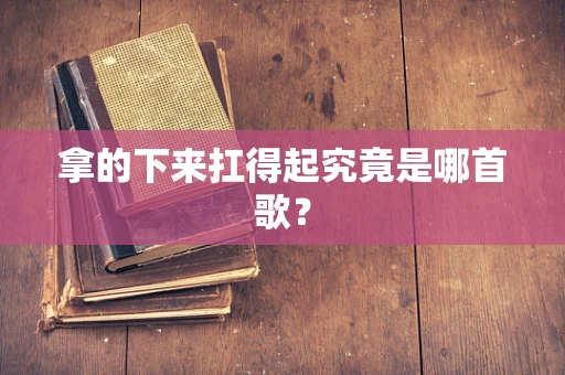 拿的下来扛得起究竟是哪首歌？